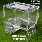 Test Tube Ant Farm Nest Use For Crematogaster Vagula 9-15w Brood   Queen Habitat