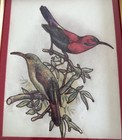 Handmade Framed Fabric Sewed Printed Magnificent Sun Bird Wall Art Red   Green