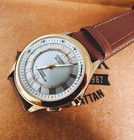Citizen Authentic Exceed Vintage Eco Drive Radio Controlled Roman Dial Watch