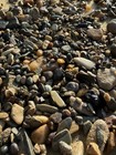 Montana Miner Metals Natural Montana Sapphire Gravel Unsalted For Panning