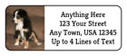 Custom Your Pet Photo Dog Cat Bird Bunny Horse 60 Glossy Return Address Labels