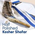 Nana Gifts Authentic Ram Horn Shofar From Israel  Clear 14 -16   Natural 