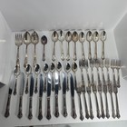 Wm A  Rogers Oneida Sectional 44 Pieces Valley Rose Silverplate Service For 8