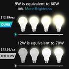 Wifi Smart Led Light Bulb 9w 60w  A19 850lm Rgbw Dimmable For Alexa google siri