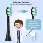 Replacement Heads 10 Pack Electric Tooth-brush Black Compatible Philips Sonicare