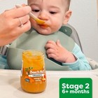 Beech-nut Veggie Baby Food Pouch Variety Pack - 3 5oz 9ct