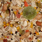 Volkman Avian Science Super Parrot Bird Food Seed Mix Natural Flavor 4 Lb