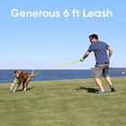 Dog Leash 6 Ft Reflective Dog Leash Padded Handle Small Leash Or Large Leash