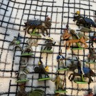 Vintage 1970s Britains Deetail Toy Soldier Lot - 40  Medieval Knights   Cavalry 