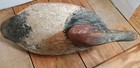 Vintage Wood Canvasback Duck Decoy