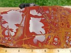 Tcr Noreena Jasper agate lapidary Rough Slab 170 Grams