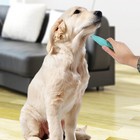 Dog Paw Fur Trimmer Low Noise Cordless Electric Pet Hair Clippers For Cats Dogs 
