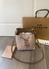 Rowan Bucket Bag In Rainbow Signature Canva Silver sand Multi Cda92
