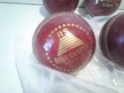 Ravishastri 2 New 2 Used Cricket Game Balls Free Shipping