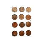 Indian Head Cents Lot  15    Un- Circulated Mint Us Silver           All Coins   