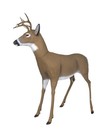 Flambeau Outdoors 5965sb Scrapper Buck - Masters Series Deer Decoy