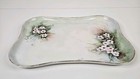 Antique Porcelain Vanity Set Dresser Tray Hand Painted Mz Austria   Bavaria