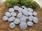 Elder Futhark Mushroom Runes Set Norse Elder Futhark Tiles Ritual Divination