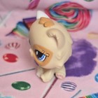 Littlest Pet Shop Authentic Lps  521 Orange Tan White Sitting Persian Cat Blue