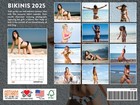 Bikini Calendar 2025 Monthly Wall Calender 12 Month