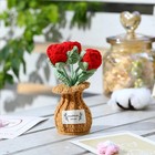 Crochet Rose Flower Potted Plant     Red  Valentines Day Gift For Her  Handmade 