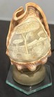 Vintage Italian   Hand Carved Cameo Shell Lamp