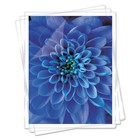 Fellowes Laminating Pouches 7mil 11 1 2 X 9 100 pack 52041