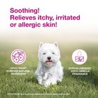 Douxo S3 Calm Mousse  Contains 0 75  Ophytrium  Soothing  For Itchy  Irritated O