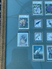     barbados Framed Collection Of Stamps