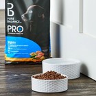 Puppy Dry Dog Food Chicken   Rice Formula For Small Medium Large Breed Dogs 8 Lb