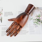 Wooden Hand Model For Artists  Articulated Mannequin Left Hand Figure  10 2-inch