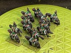 15mm Painted Napoleonic French Dragoon  Regiment  12 Riders 12 Horse  Essex