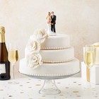Funny Wedding Cake Topper  Bride Tied Up Groom Couple Figurine  2 6 X 4 6 X 2 3 