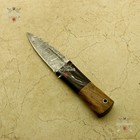 Celtic Scottish Warrior 8  Knife Genuine Damascus Sgian Skean Dubh Dirk Dagger