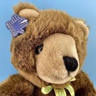 Vtg Rare Sesame Street Big Bird Radar Teddy Bear Plush 1980s Applause New Tags