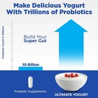 Ultimate Probiotic Yogurt Maker With Adjustable Time   Temp Control - Make Tr   