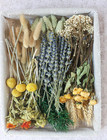 Diy Natural Dried Flower Set  Bulk Dried Flowers  Dried Flowers With Stems  Hand