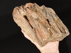 Nice Bark  237 Million Year Old  Petrified Wood Fossil Triassic Arizona 3757gr