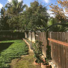 200  Cat Fence Conversion System