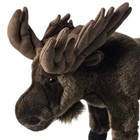 Ganz Webkinz Signature Moose Plush 12  Realistic Wildlife Zoo Stuffed Animal