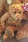 Ty Beanie Baby Teddy setof Two   And Ty Beanie Buddy Teddy - Rare   Retired