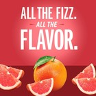 Izze Sparkling Juice  Grapefruit  8 4 Fl Oz Pack Of 24