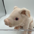 Hansa Pig Plush Realistic Piglet Stuffed Animal Nwt Lifelike Toy 2012