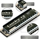 Lucky 13 Bass Plus Blues Harmonica 13holes Diatonic Harp Mouth Organ Us Stock