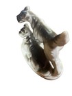 Vintage 1940s Ceramic Terrier Schnauzer Dogs Puppies Playing Figurine Japan 4  L