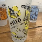 10 Vintage Hazel Atlas Frosted State Souvenir Drinking Glasses- Price Per Glass