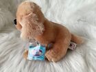 Webkinz Butterscotch Retriever    Hm690  - New With Sealed Code-hard To Find