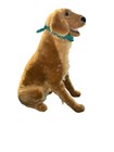 Melissa And Doug Large Dog Plush Lifelike Golden Retriever Stuffed Dog 30  Tall
