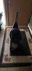 Bissell Powersteamer Pro Deluxe Carpet Cleaner