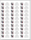 150 Dalmatian Dog Patriotic Usa Mailing Return Address Labels Personalized